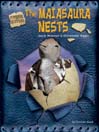 The Maiasaura Nests